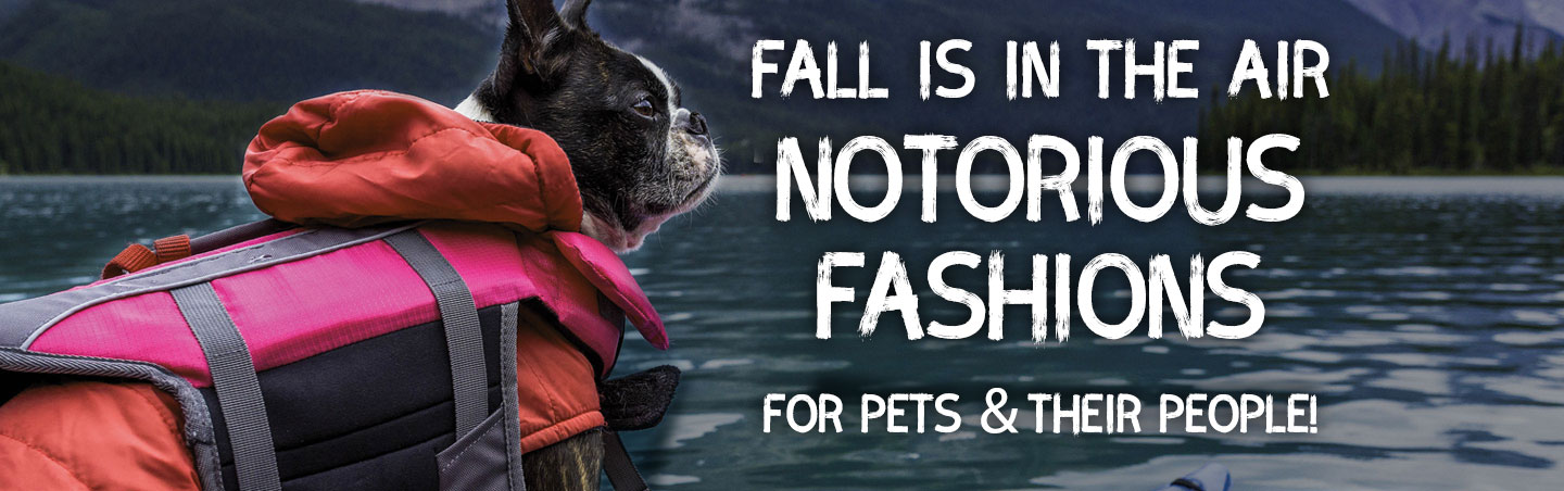 notorious fall fashions shop online and in store