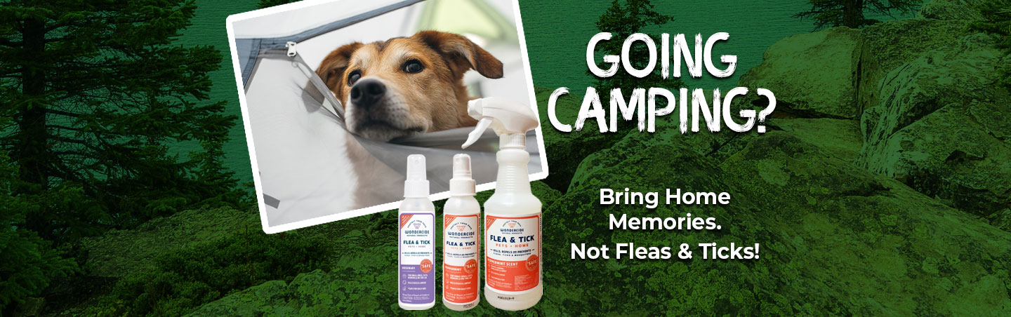 Going camping? Bring home memories. Not Fleas and Ticks