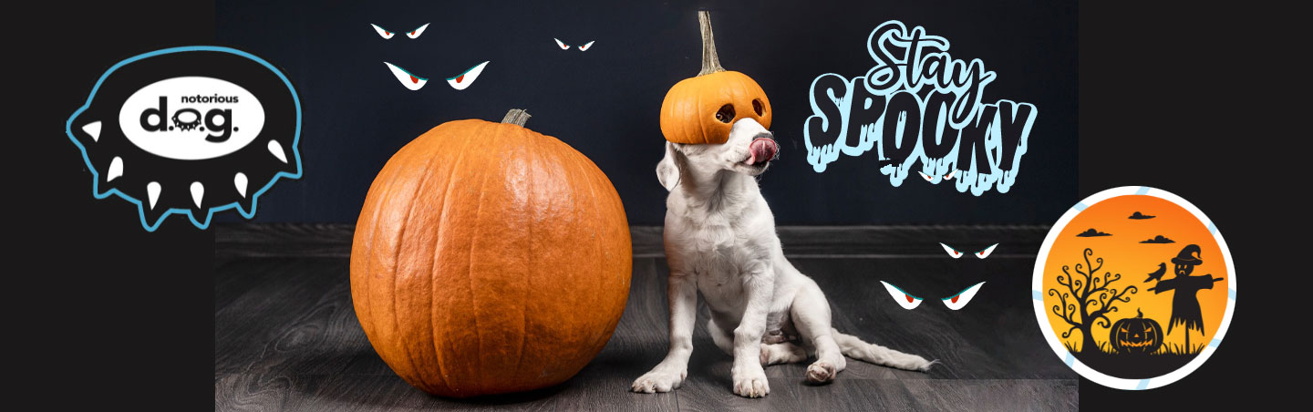 stay spooky