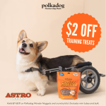 Polkadog Training Treats Polkadog Training Treats