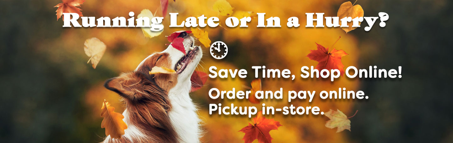 save time, shop online